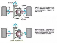 中国球速体育官网品牌