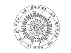 中国球速体育官网品牌