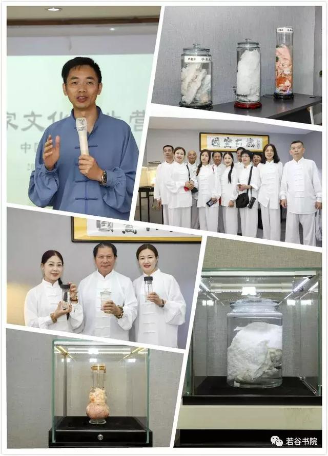 球速体育官网品牌有哪些