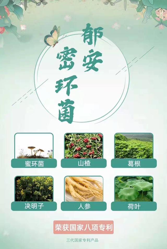 球速体育官网品牌工程