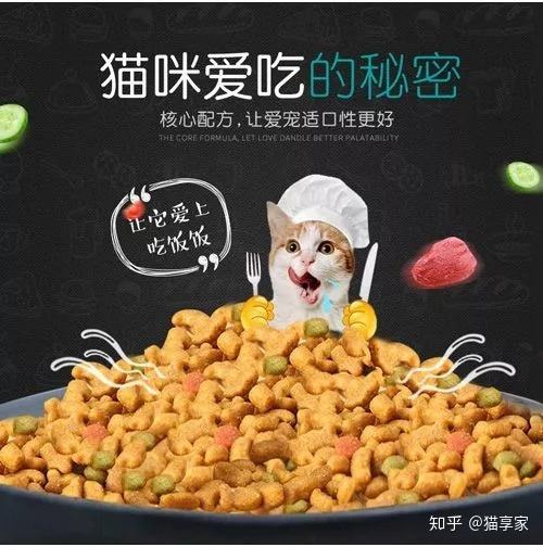 什么猫粮比较好 高蛋白的原本猫粮获好评